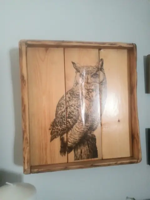 Decoupage owl artwork on a framed plank wood sign