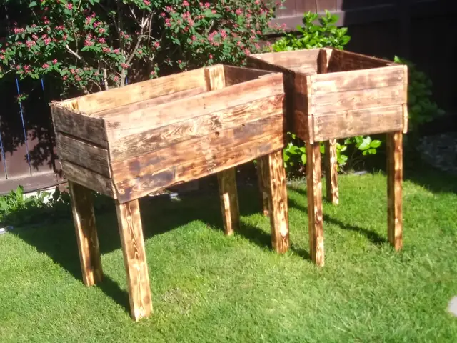 Torched wood raised planter boxes on legs in a backyard garden